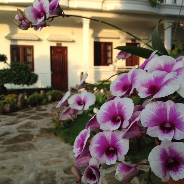 Suncosy Central Hotel Phu Quoc Dış mekan fotoğraf